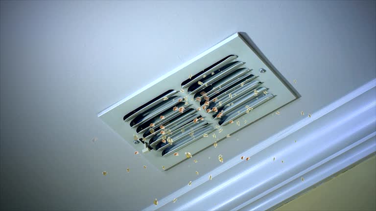 Best Air Vent Cleaning Services  in Braddock, PA