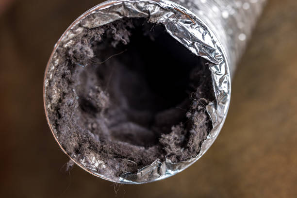 Best Air Duct Cleaning Cost  in Braddock, PA
